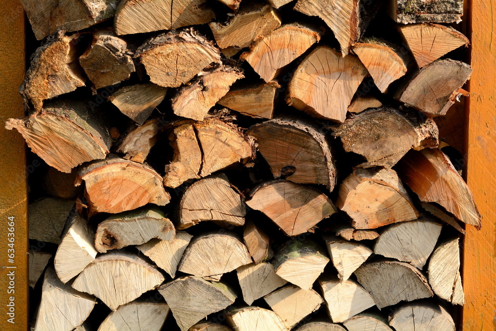 Holzstapel mit verschiedenen Holzarten Holzstapel mit verschiedenen Holzarten