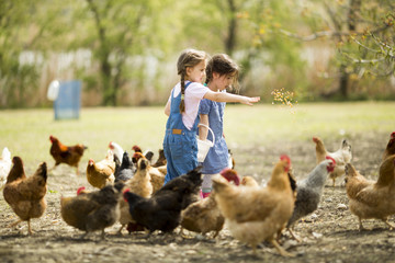 Two little girl feeding chickens