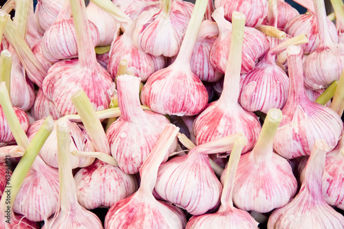 Background of fresh garlic
