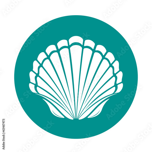 Scallop sea shell