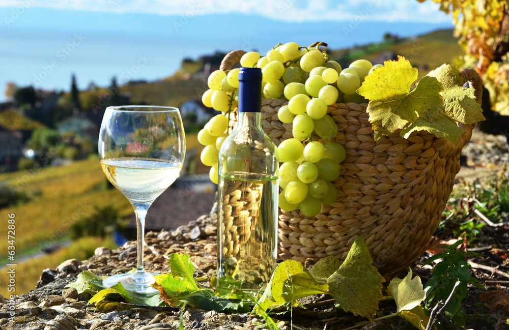 Wine and grapes.Lavaux region, Switzerland