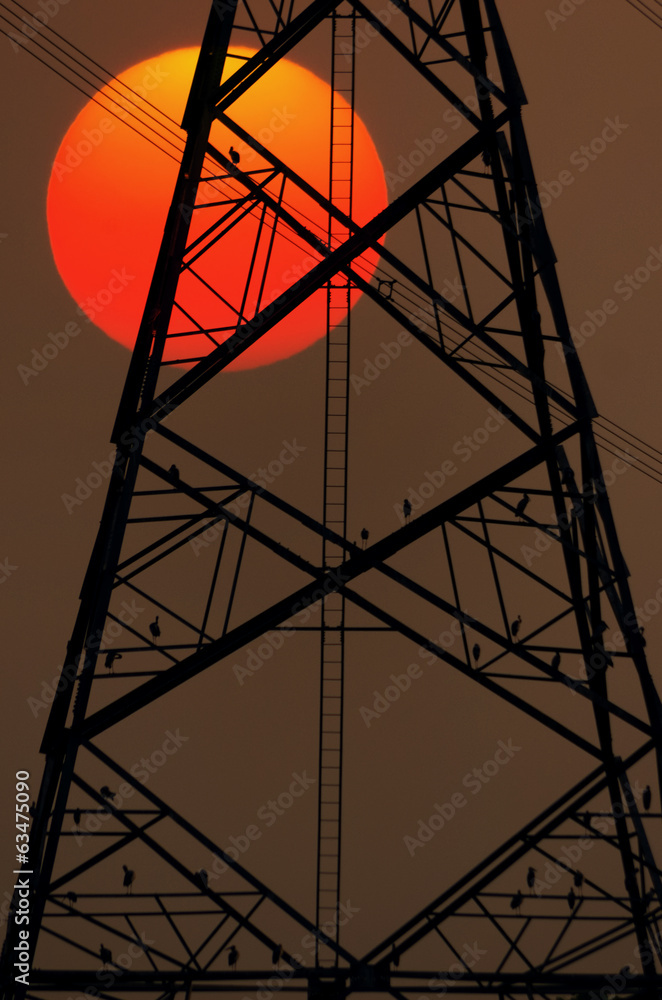 Silhouettes electricity pole Silhouettes electricity pole