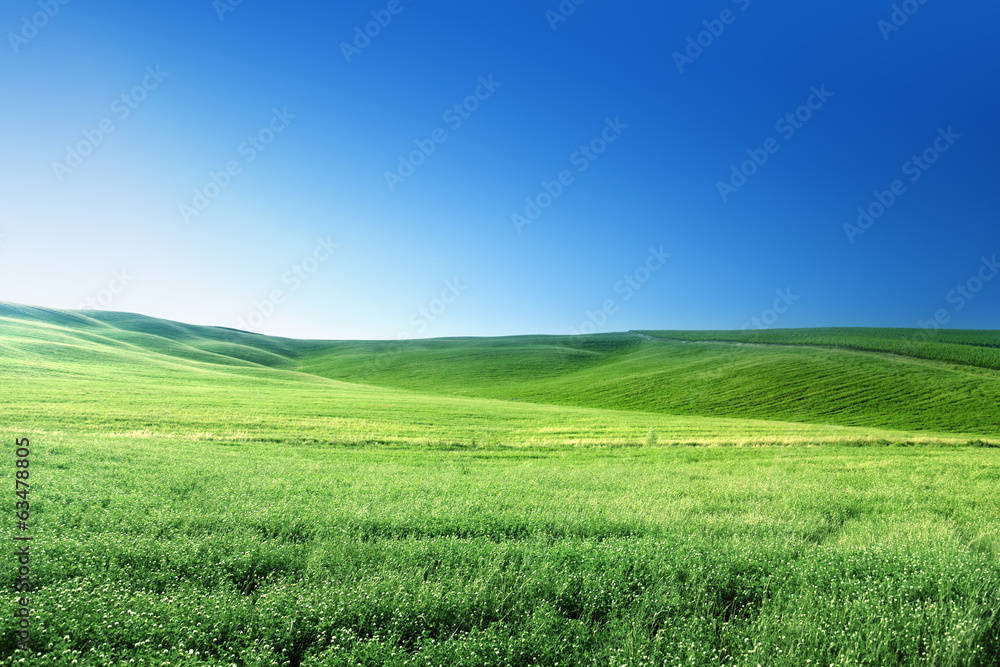 hills in sunny day Tuscany, Italy