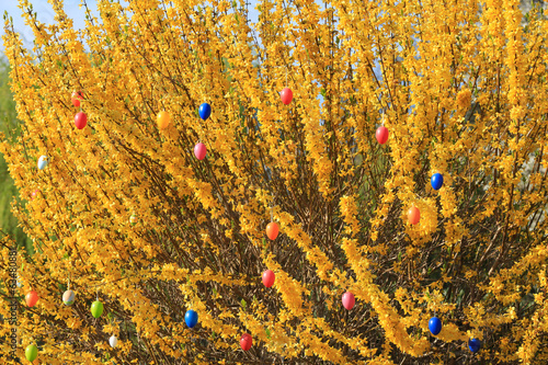 Ostereier Baum photo