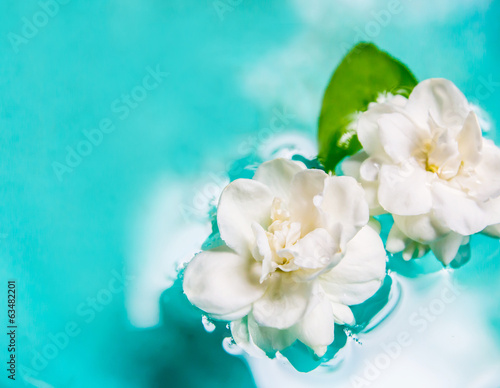 Jasmine flower on water