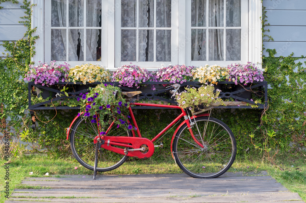 Red vintage bicycle