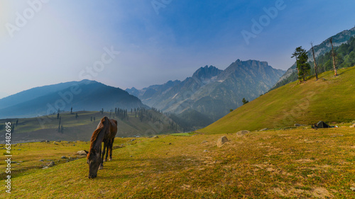 Mountain Slopes © Ravindra Joisa
