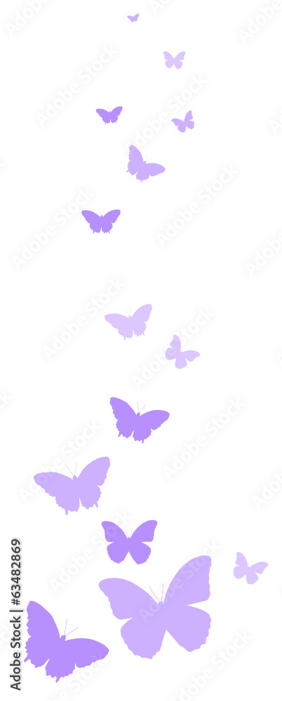 Schmetterlinge - obrazy, fototapety, plakaty 