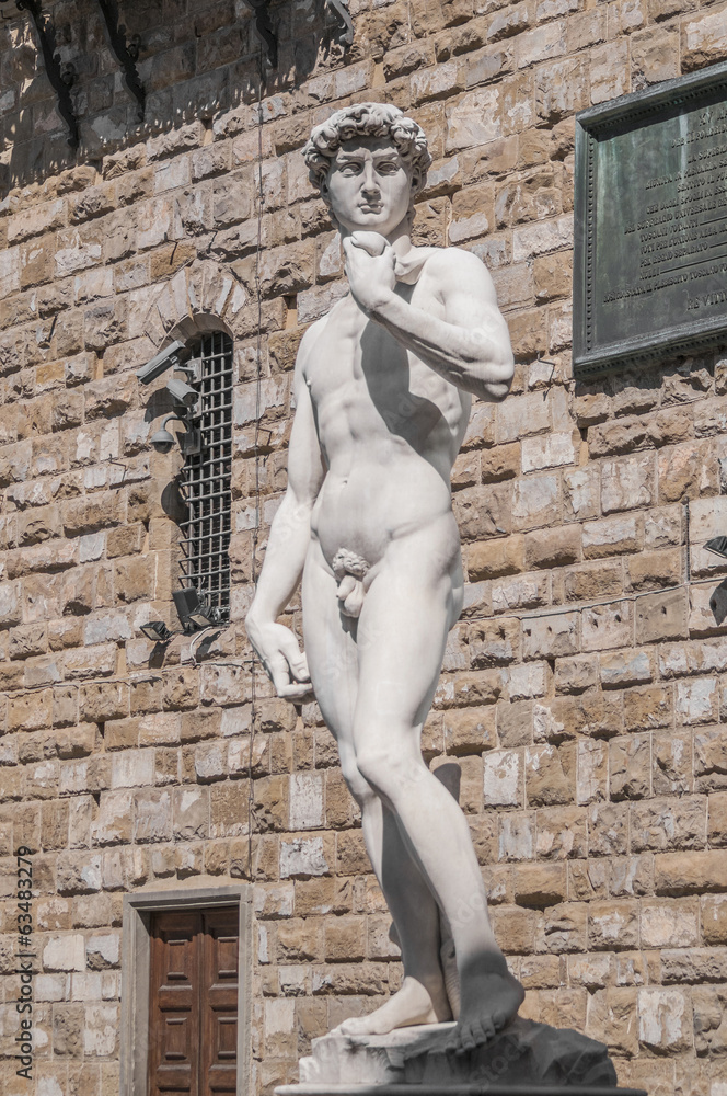 Obraz premium Michelangelo's David statue in Florence, Italy