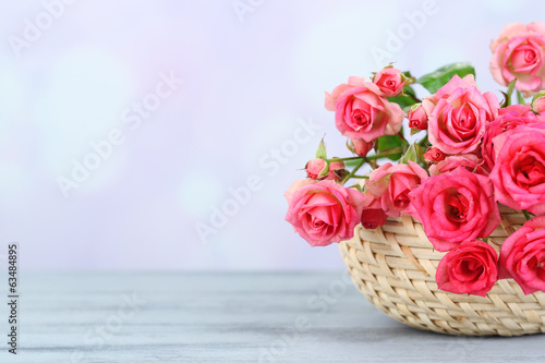 Beautiful small pink roses  on light background