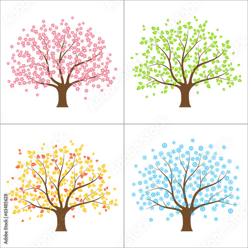 Tree in spring, summer, autumn and winter. Four seasons concept