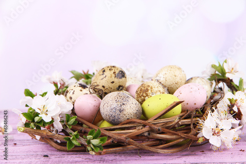 Composition with Easter eggs and blooming branches in nest,