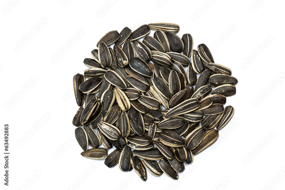 Sunflower Seeds Sunflower Seeds
