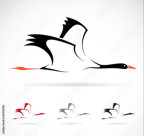Vector image of an stork