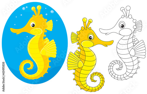 sea horse