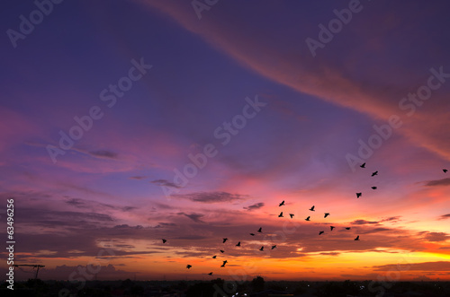 Fototapeta Naklejka Na Ścianę i Meble -  sunset sky panorama.
