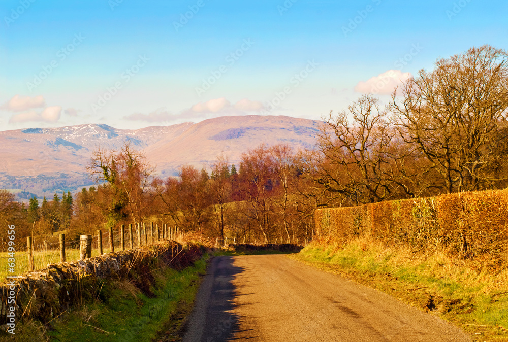 Naklejka premium Road in the Scottish countryside