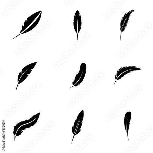 Vector black feather icons set