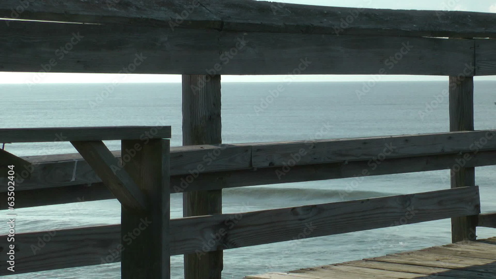blackbird running on fishing pier railings blackbird running on fishing pier railings