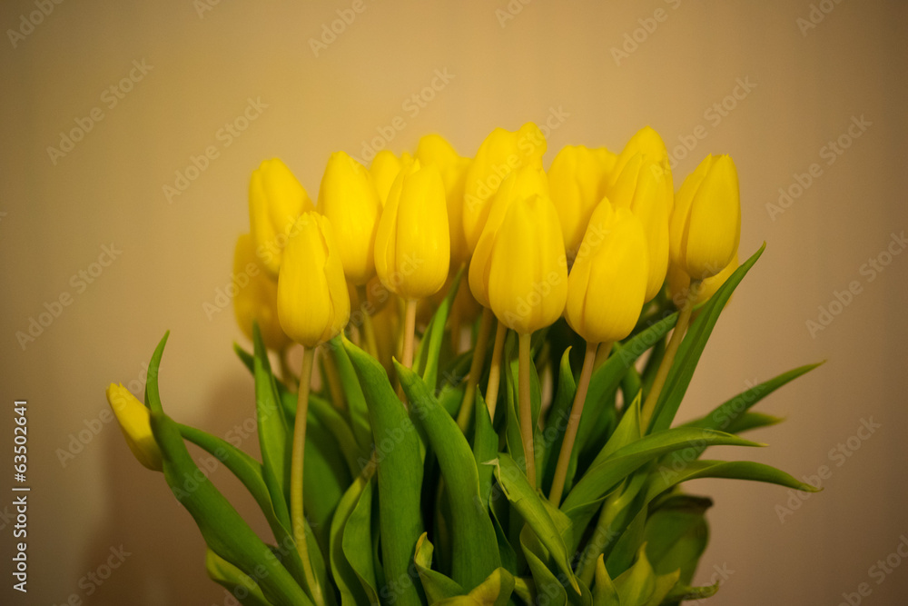 Bouquet of colorful yellow spring tulips Bouquet of colorful yellow spring tulips