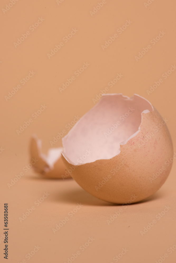 Broken brown chicken eggshell, source of calcium Broken brown chicken eggshell, source of calcium