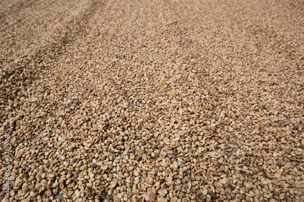 Coffee beans background Coffee beans background