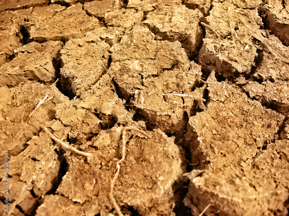 Dried, cracked earth