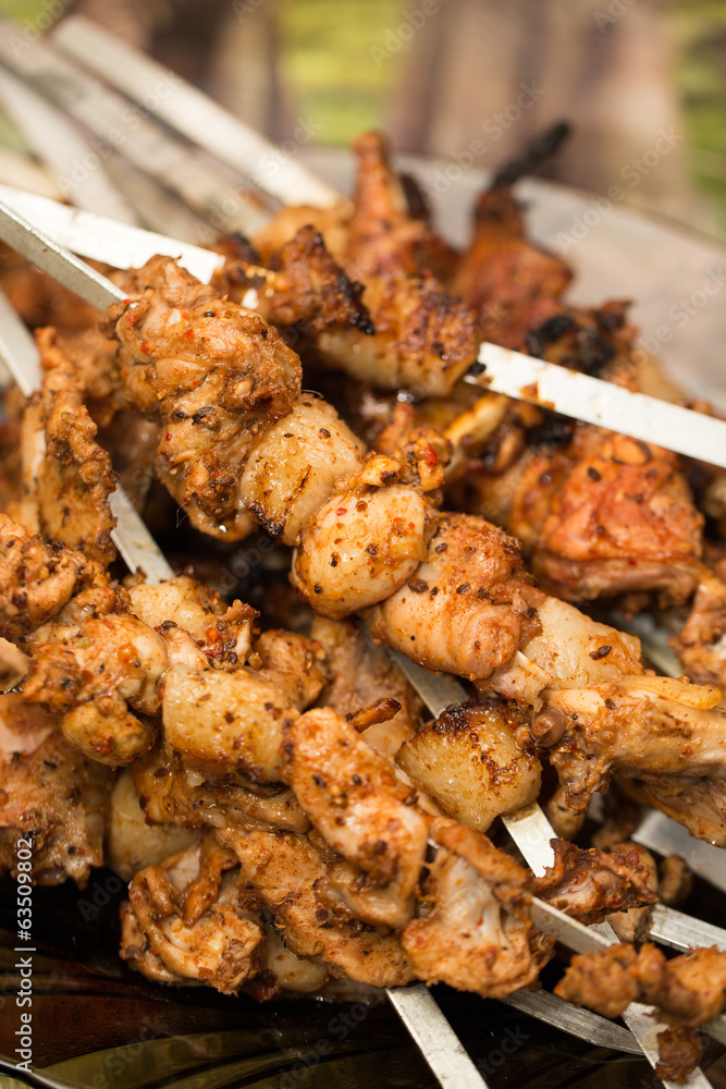shish kebab on a stick. macro shish kebab on a stick. macro