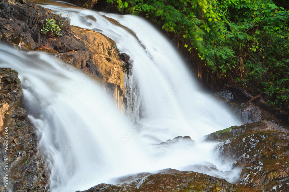 Fototapeta premium Waterfall in the forest
