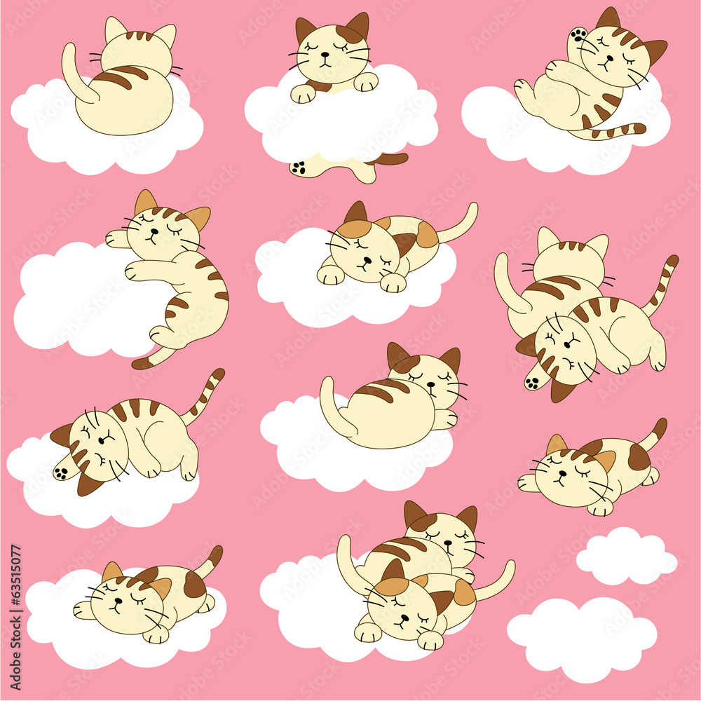 Obraz premium 可愛い猫