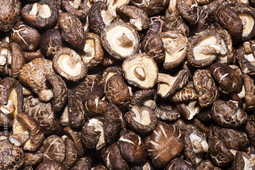 Shiitake fungus in the chinese market Shiitake fungus in the chinese market