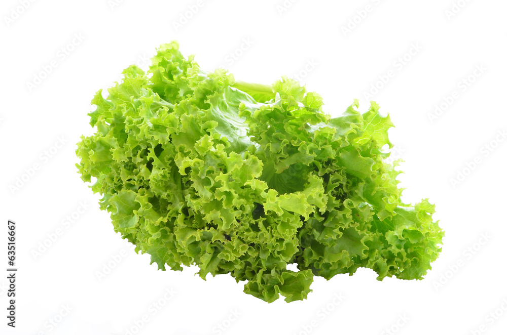 fresh green lettuce leaves isolated on white fresh green lettuce leaves isolated on white