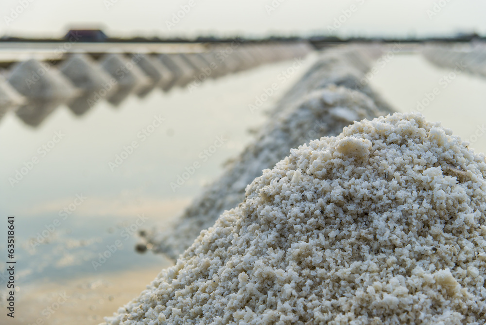Row of salt in the salt farm