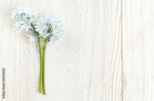 beautiful spring flowers on wooden surface