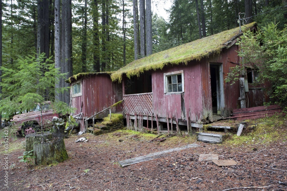 verlassene Hølzhütte mit Lastwagen im Wald verlassene Hølzhütte mit Lastwagen im Wald