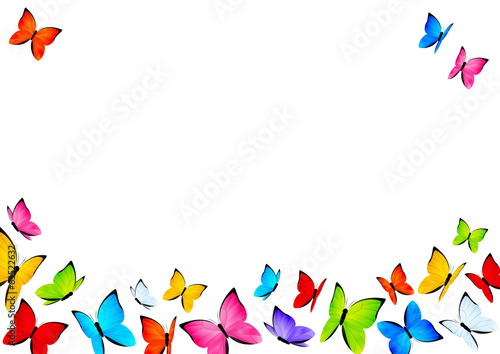Color butterflies background with place for Your text
