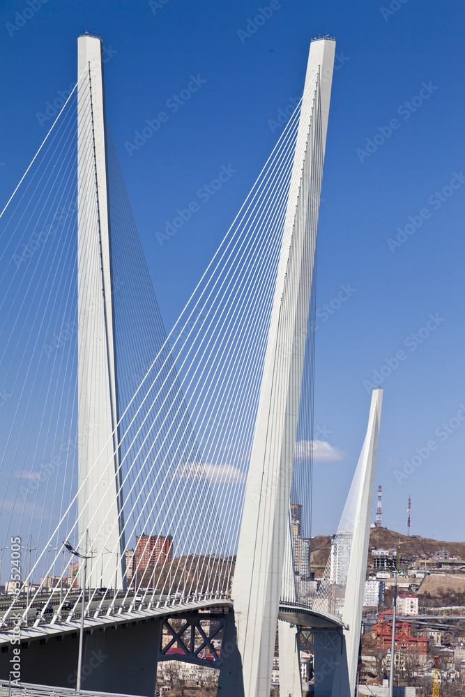 Obraz premium Big suspension bridge