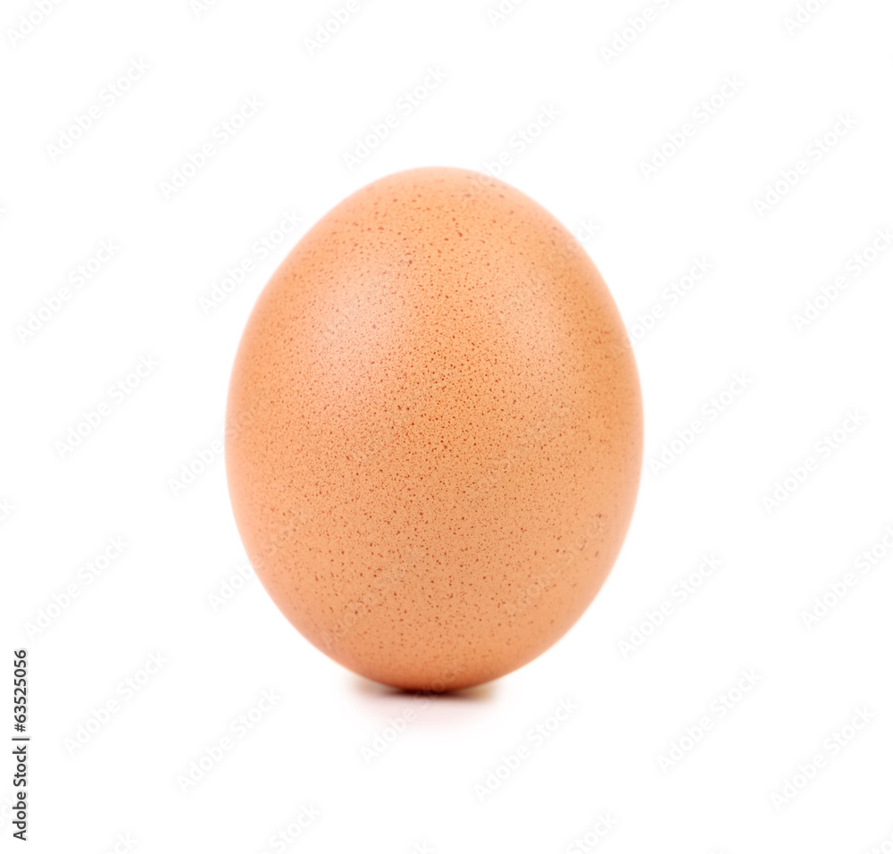 close up of Brown egg close up of Brown egg