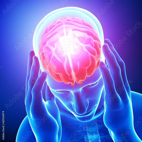 Anatomy of male brain pain in blue