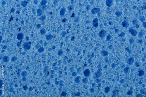 blue sponge photo