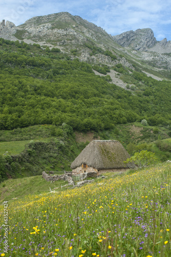 Old building