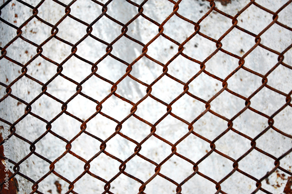 Fototapeta premium Rusty grid