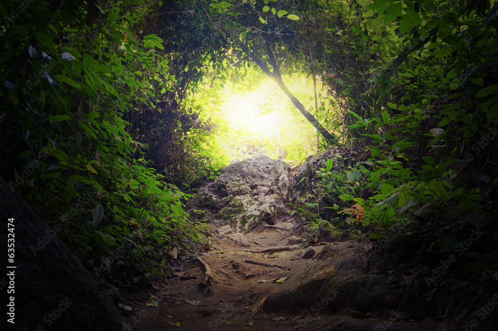 Fototapeta premium Natural tunnel in tropical jungle forest. Road path way