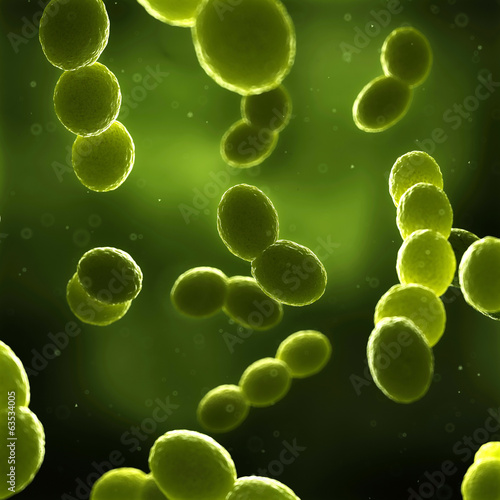 scientific illustration - streptococcus bacteria photo