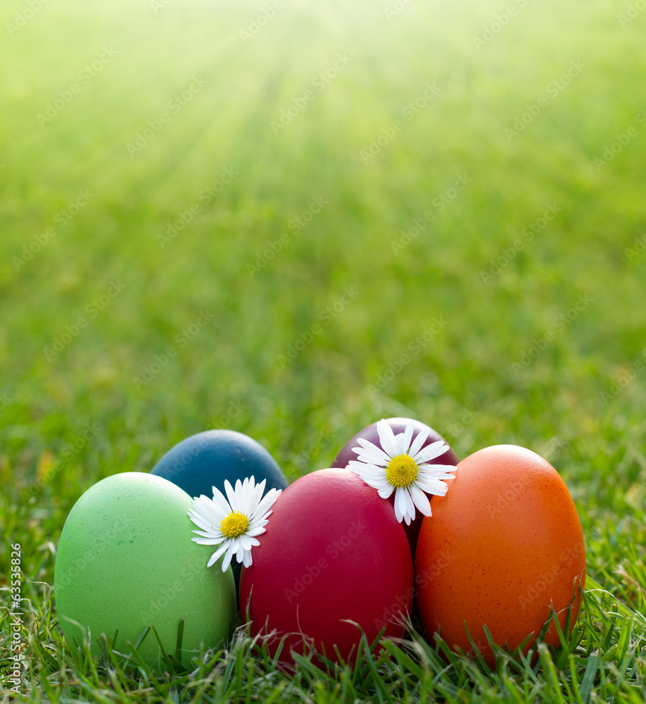 Fototapeta premium colorful Easter egg in the fresh spring grass