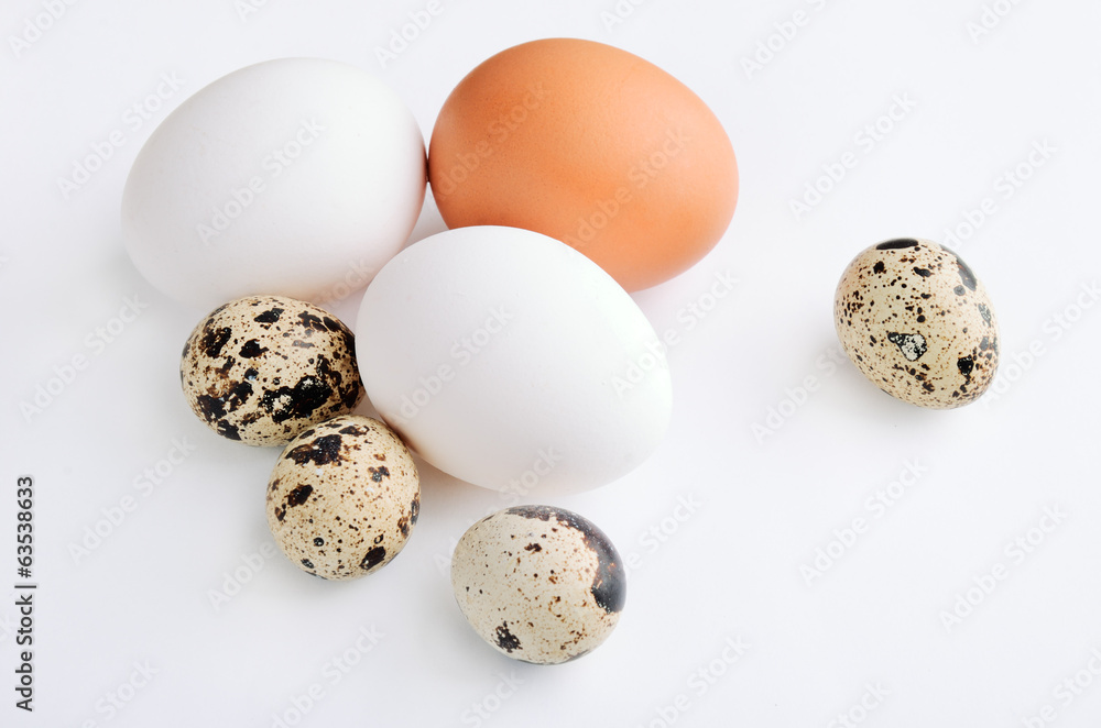 quail, white, brown eggs on the light background