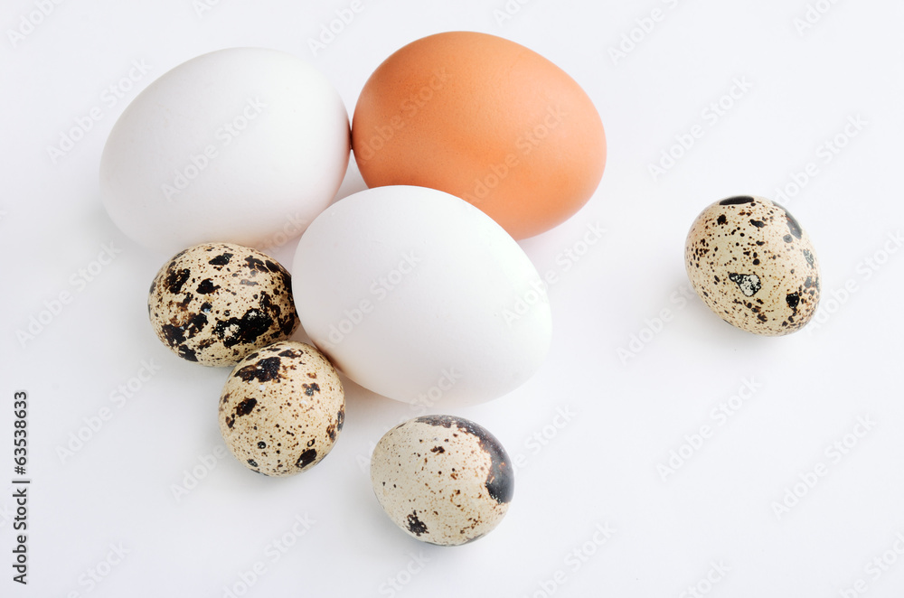 quail, white, brown eggs on the light background quail, white, brown eggs on the light background