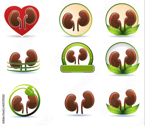 Huge set of kidneys icons