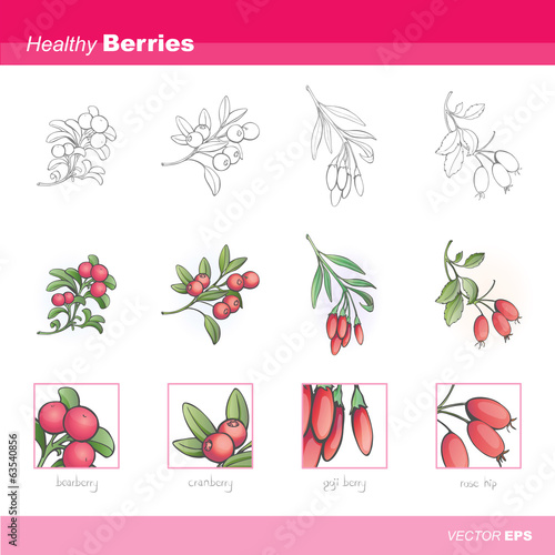 Healthy berries