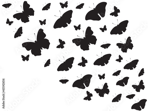 Beautiful butterflies flying around background